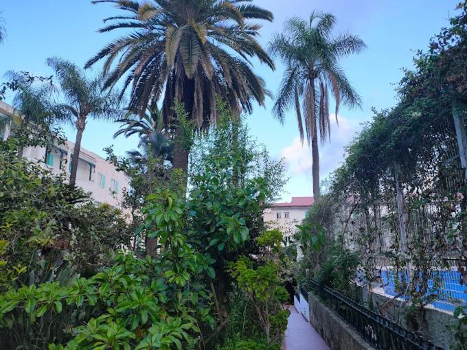 Hotel El Djazair El Mouradia Екстер'єр фото